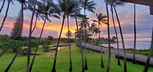 apt-203-5061 Lawai Rd, KOLOA, HI, 96756-8608 | Card Image
