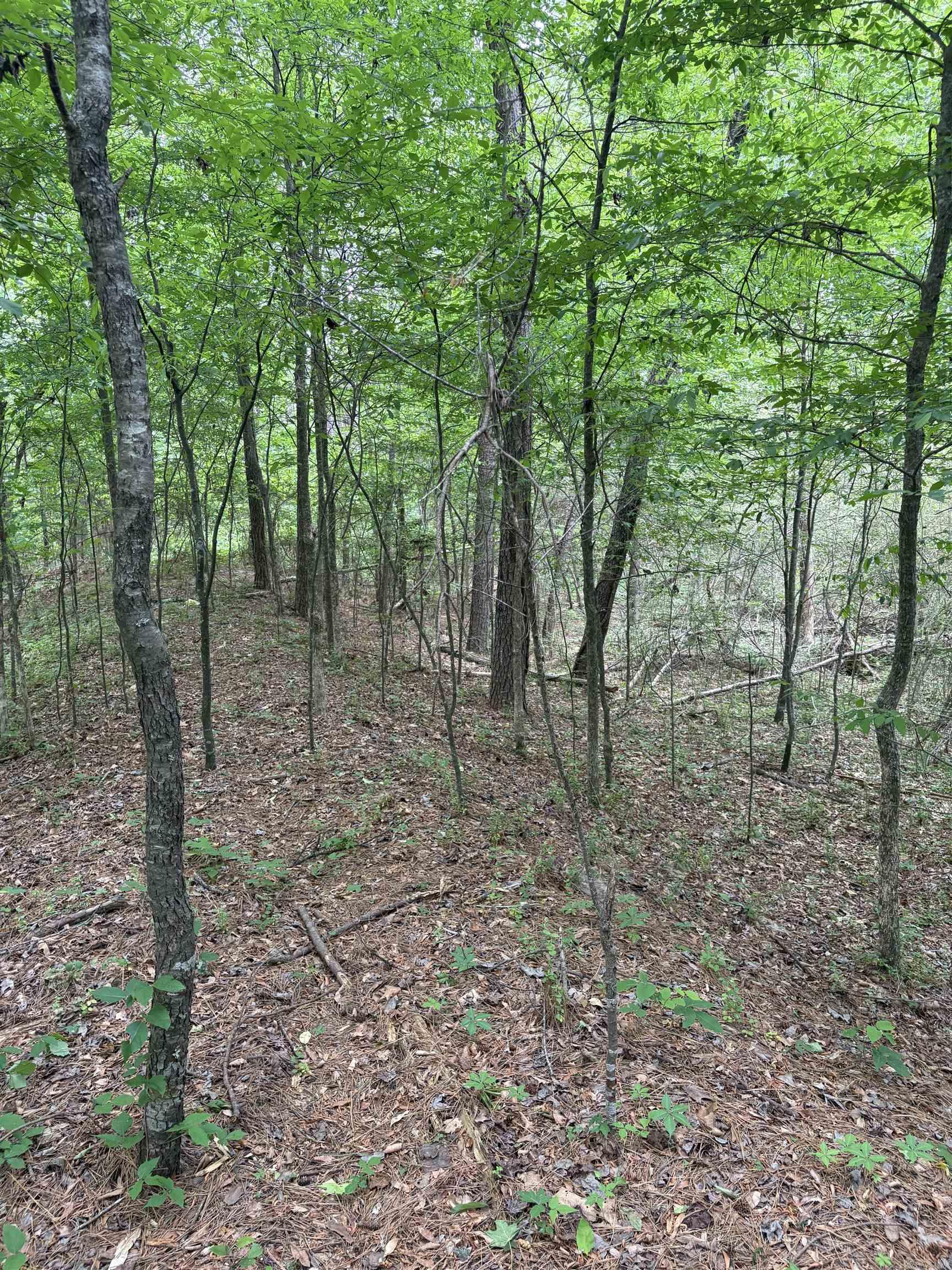 Land in Hensley 5