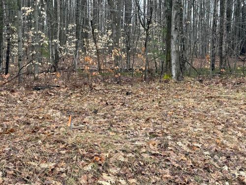 0 N Vandermeulen Rd, Lake City, MI, 49651 | Card Image