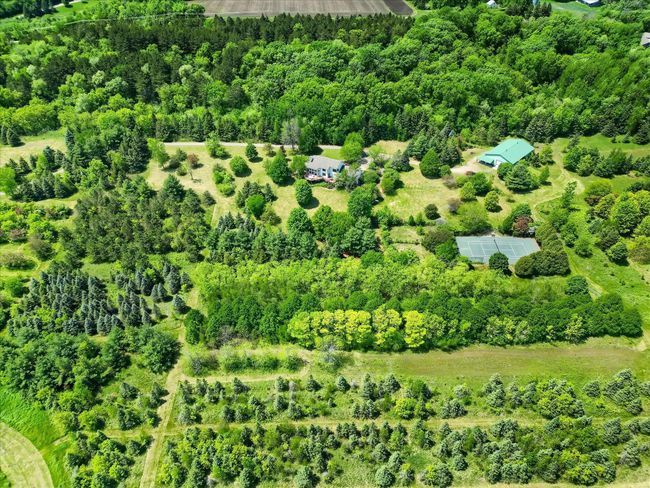 Formerly A Tree Farm | Image 27