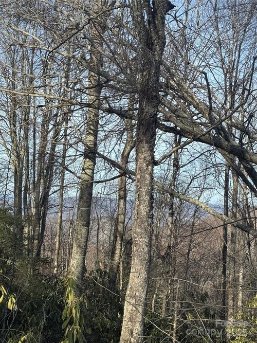 322-226 Greenbriar Rd, Beech Mountain, NC, 28604-8079 | Card Image