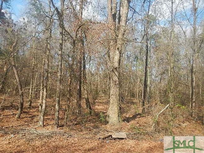 0 Peavy Rd, Home with 0 bedrooms, 0 bathrooms and null parking in Byron GA | Image 5