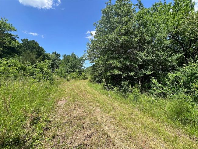 2 S Richards St, Home with 0 bedrooms, 0 bathrooms and null parking in Anderson TX | Image 11