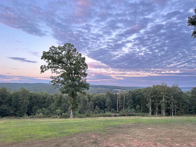 1852 Prince Loop, House other with 4 bedrooms, 2 bathrooms and null parking in Mountain View AR | Image 42