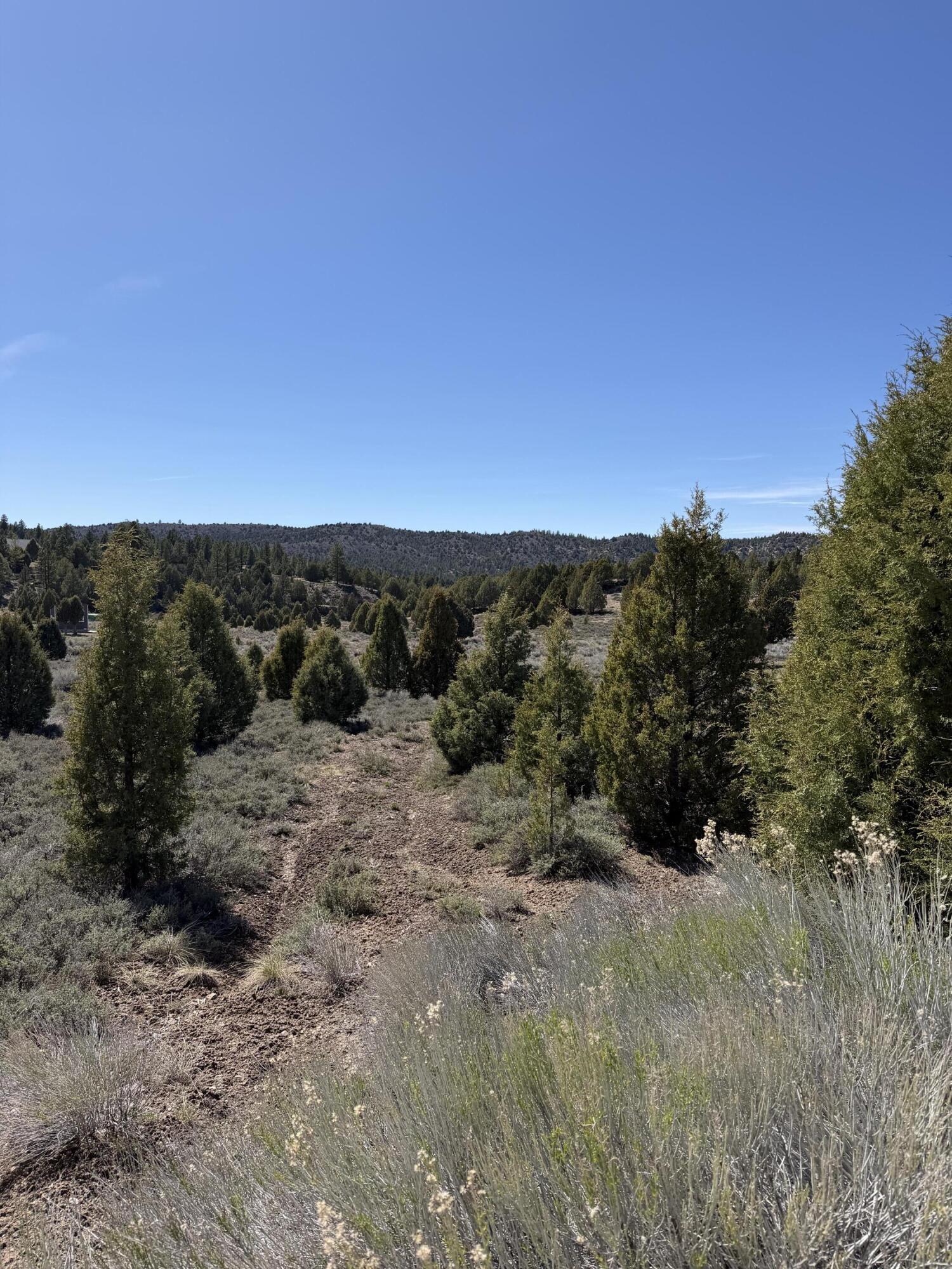 Land in Alton 3