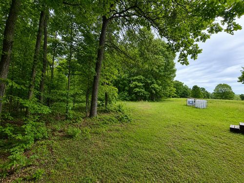 113 Wanda Drive, Squires, MO, 65755 | Card Image