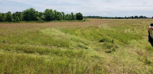 5 Webb St, Smithville, TN, 37166 | Card Image