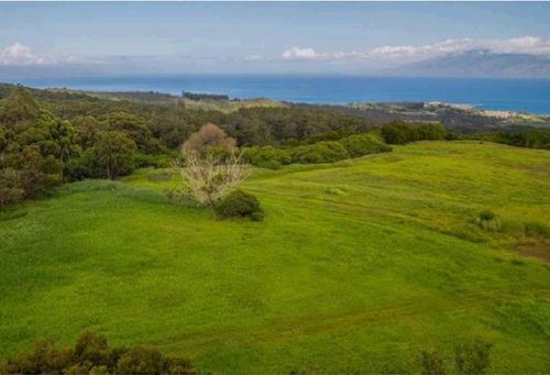 7-205 Keoawa St, Lahaina, HI, 96761-8779 | Card Image