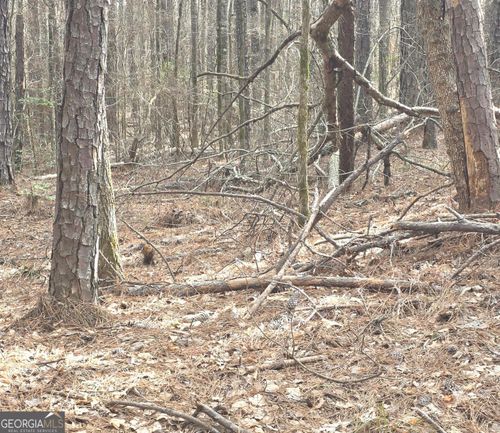 0 White Pine Ct., Sparta, GA, 31087 | Card Image