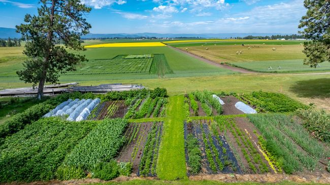 Large organic garden | Image 62