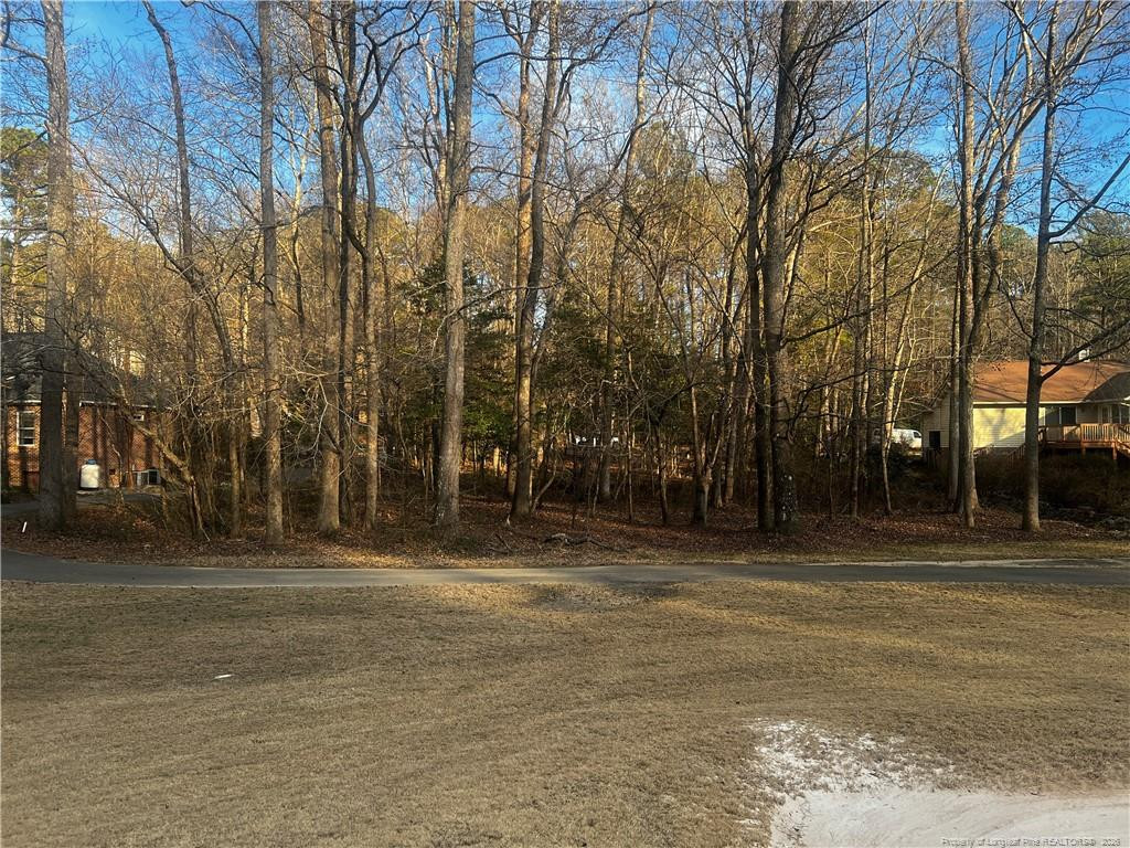 Land in Sanford 3