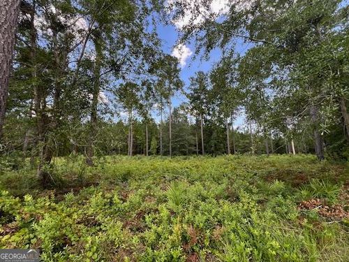 19 Windmill Palm, Brunswick, GA, 31523-7177 | Card Image