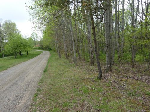 TBD Pinnacle Point Ln, Meadows of Dan, VA, 24120 | Card Image