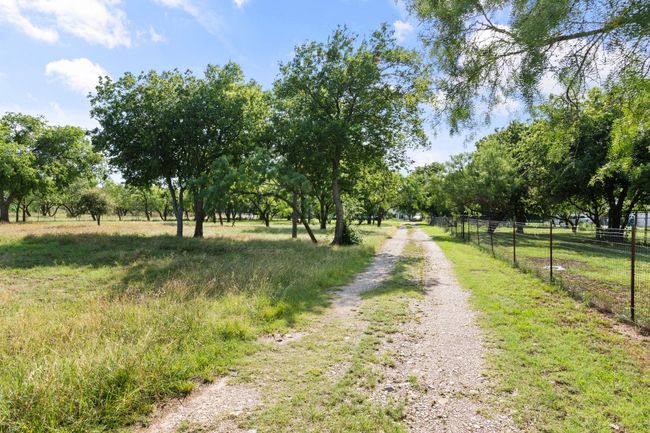 View of road | Image 36