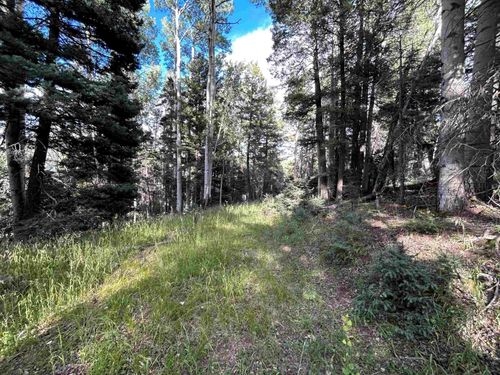 2 Back Basin Rd, Angel Fire, NM, 87710-8015 | Card Image