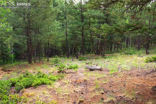123 Ellis Lake Cir, Divide, CO, 80814-9770 | Card Image