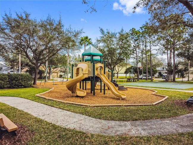 10203 Shadow Branch Dr, House other with 4 bedrooms, 3 bathrooms and null parking in TAMPA FL | Image 61