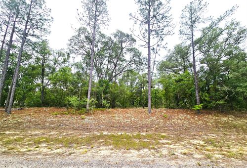 576 E Nemo Dr, DUNNELLON, FL, 34434 | Card Image