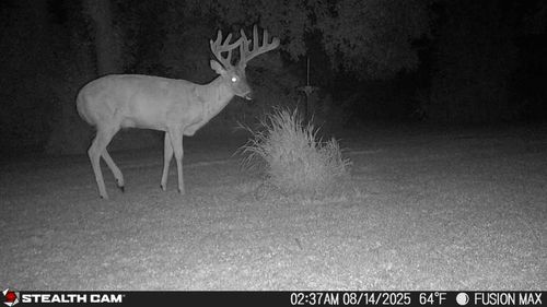 TBD 630th St, Claremont, MN, 55924 | Card Image