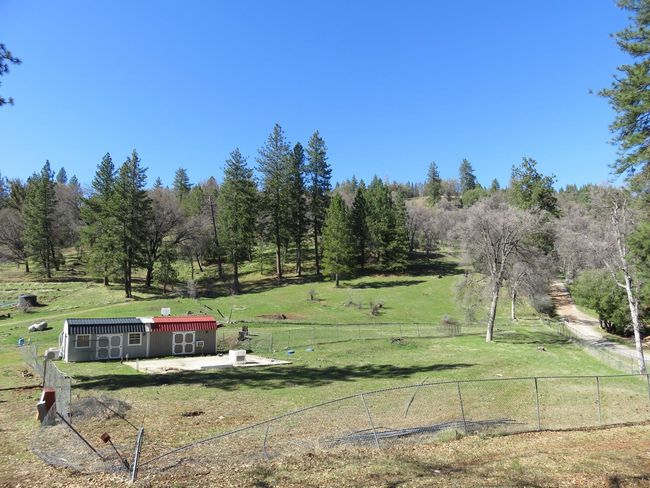 4196 Bald Mountain Rd, Home with 0 bedrooms, 0 bathrooms and null parking in West Point CA | Image 48