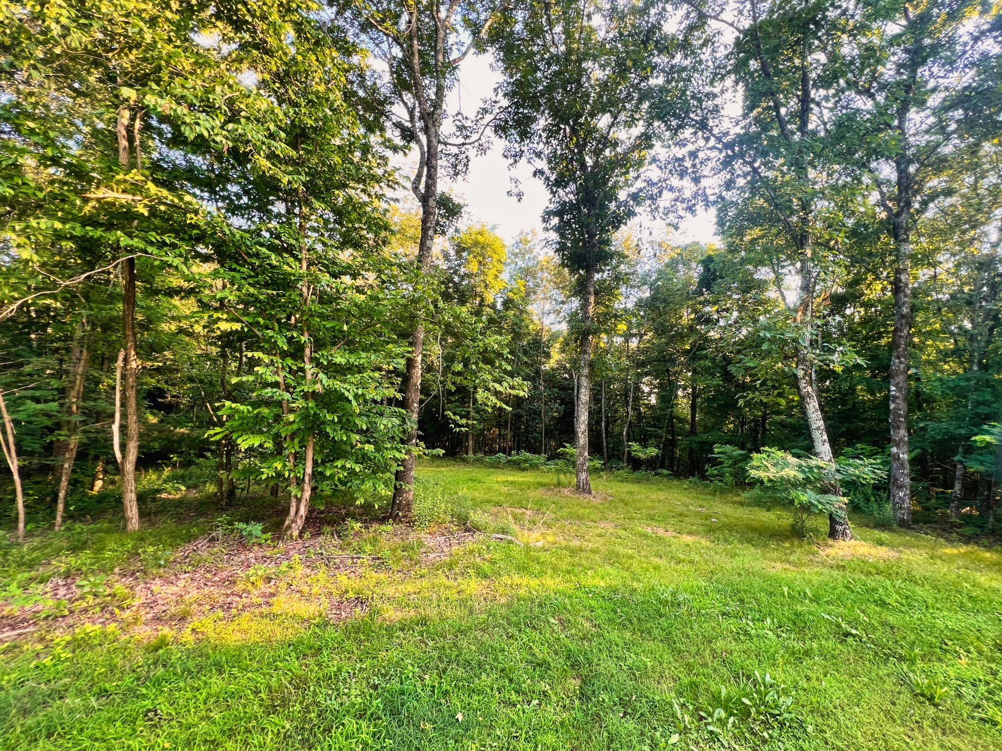 Land in Linden 5