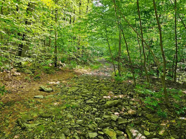 4000-ANDAMP-5000 - 00 Snowshoe Hill Rd, Home with 0 bedrooms, 0 bathrooms and null parking in Canterbury NH | Image 5