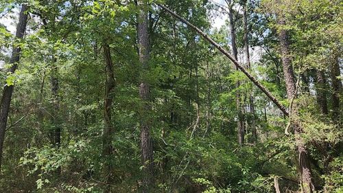 30 Gum Tree Ln, Plantersville, TX, 77363 | Card Image