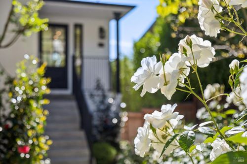 31 Alvarado Avenue, Mill Valley, CA, 94941 | Card Image