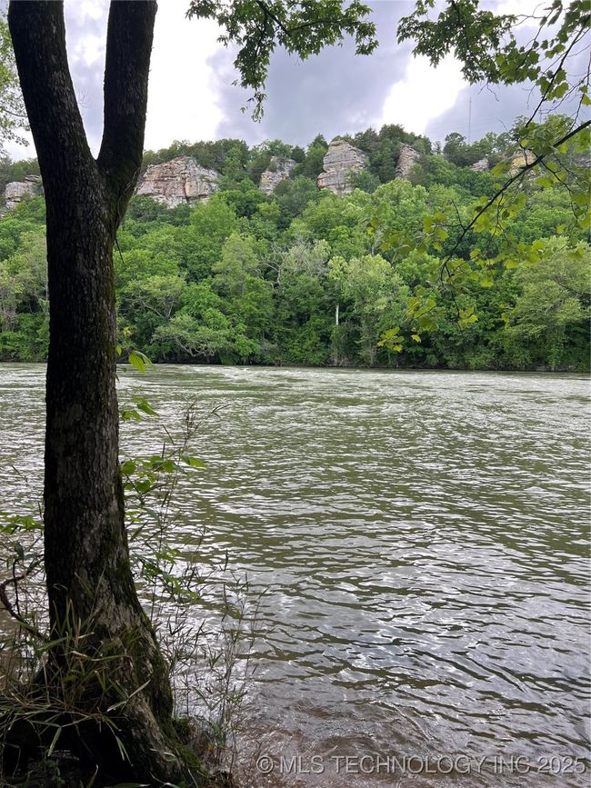 Water view with a forest | Image 45