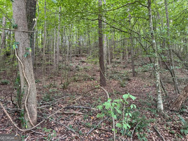 TRACT 2 Harbert Valley Rd, Home with 0 bedrooms, 0 bathrooms and null parking in Toccoa GA | Image 20