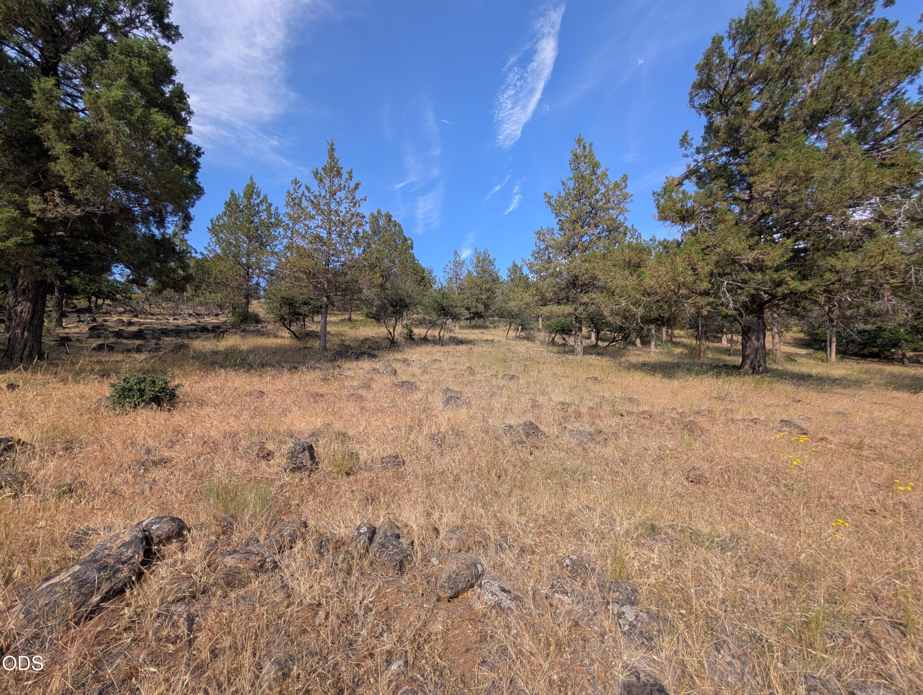 Land in Klamath Falls