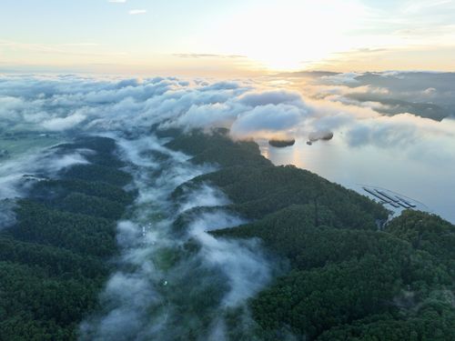 1 Lakeview Dock Rd, Bristol, TN, 37620 | Card Image