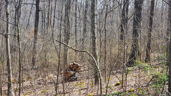 TRACT-1-PIKE-LAKE-GETAWA - 0 Pike Lake Rd, Home with 0 bedrooms, 0 bathrooms and null parking in Bainbridge OH | Image 17
