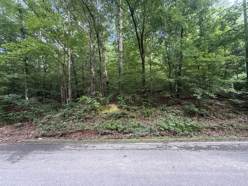 0 Caney Branch Rd, Stewart, TN, 37175 | Card Image