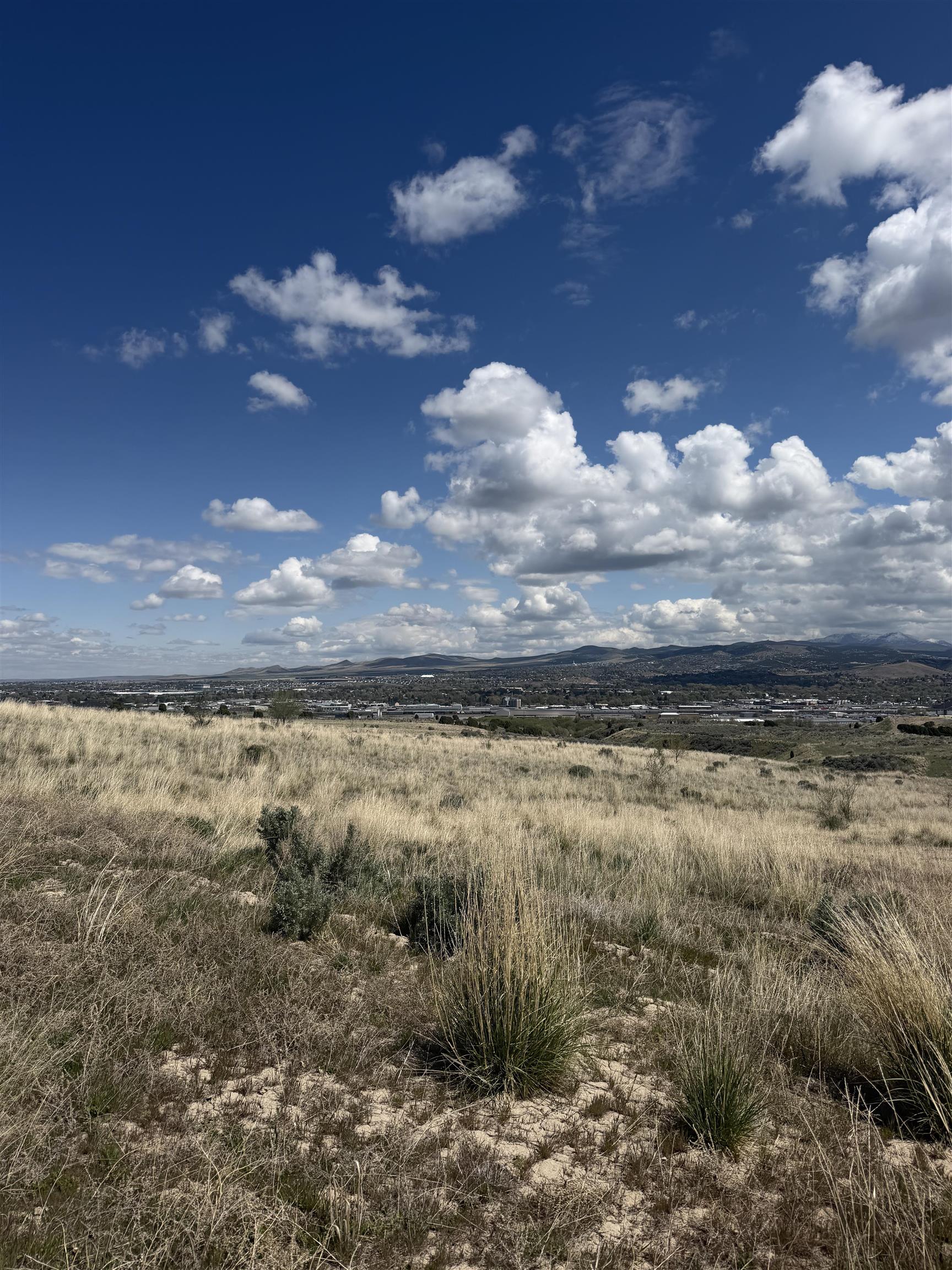 Land in Pocatello 3