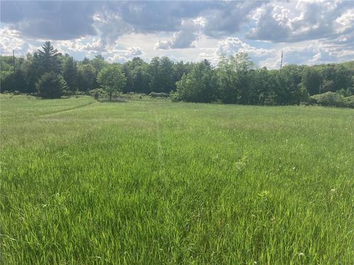 0 Hwy 46 & Mains Crossing, Apple River Twp, WI, 54001 | Card Image