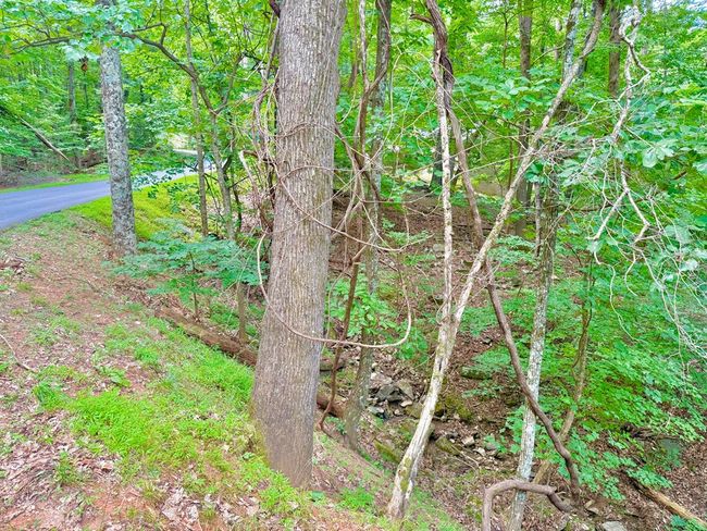 3238 Coffey Cove Dr, Home with 0 bedrooms, 0 bathrooms and null parking in Jasper GA | Image 10
