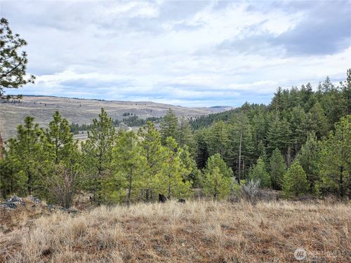 315 W Corral Drive, Oroville, WA, 98844 | Card Image