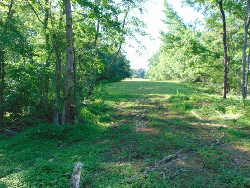 1245 Co Rd 496, Lexington, AL, 35648 | Card Image