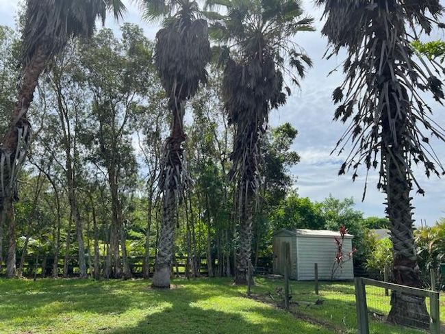 15362 94 Th St N, House other with 3 bedrooms, 2 bathrooms and null parking in Royal Palm Beach FL | Image 35