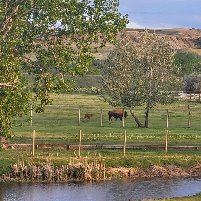 1140 5 Th Ave, House other with 3 bedrooms, 2 bathrooms and null parking in Vaughn MT | Image 71