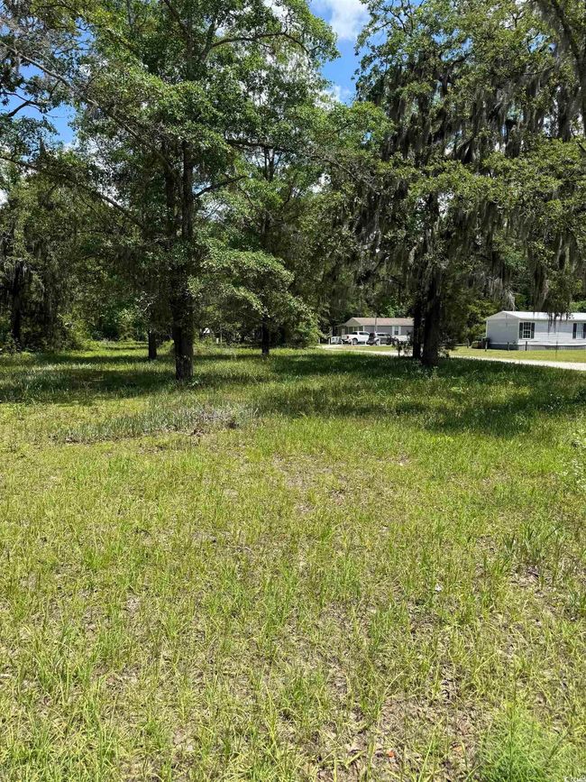 View of yard | Image 4