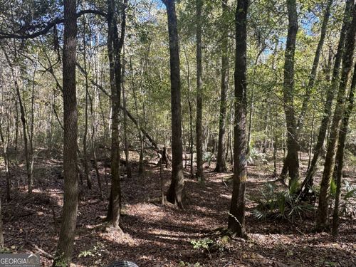 0 Sandy Dr, Hawkinsville, GA, 31036 | Card Image