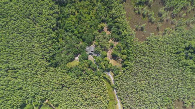 11933 Pasco Trails Blvd, House other with 4 bedrooms, 3 bathrooms and null parking in SPRING HILL FL | Image 56