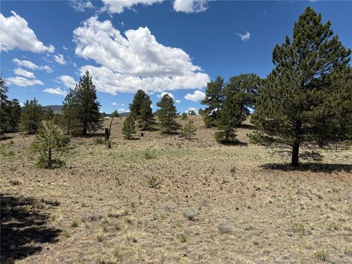 595 Bridle Path, HARTSEL, CO, 80449 | Card Image