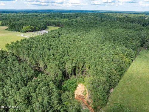 Parcel C J Runnels Rd, Petal, MS, 39465 | Card Image
