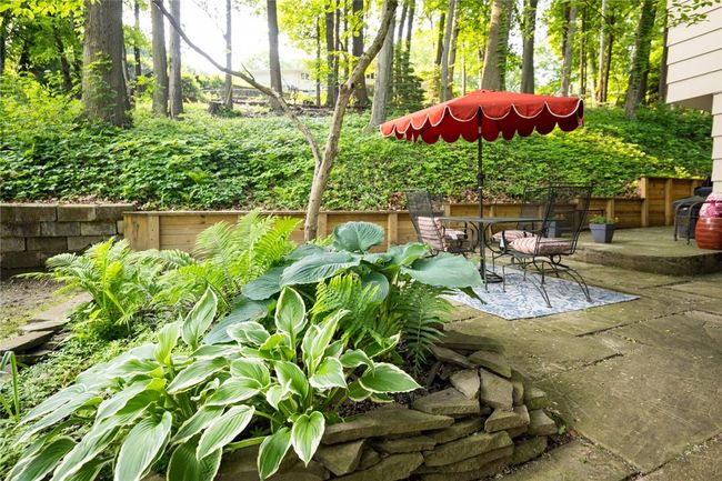 gardens abound! | Image 31