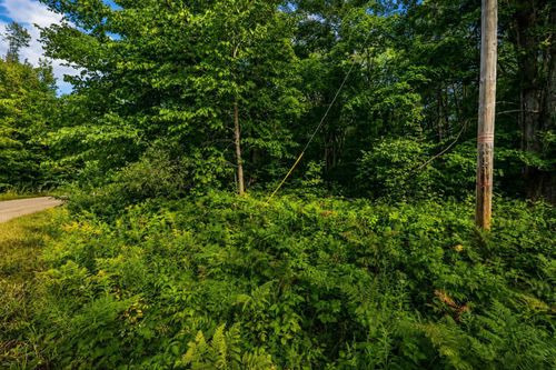 tbd Timberline Drive, Star Township, MI, 49615 | Card Image