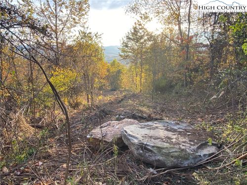 Lot 58 Toms Knob Rd, Sparta, NC, 28675 | Card Image