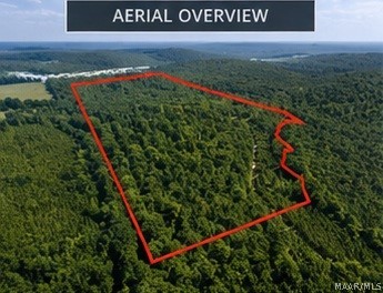 Land in Clanton 3